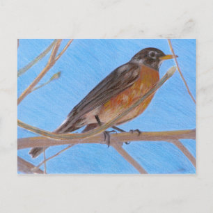 Red Robin Fine Art Natuur Briefkaart