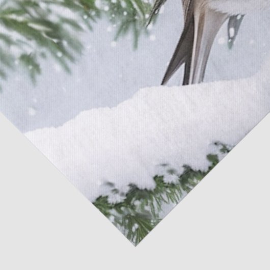 Red Robin Holiday Christmas Tissue Paper Tissuepapier (Detail)