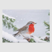 Red Robin Holiday Christmas Tissue Paper Tissuepapier (Voorkant)