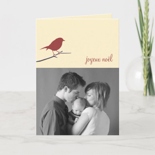 Red robin Joyeux Noël Christmas Moderne Foto Feestdagen Kaart (Voorkant)