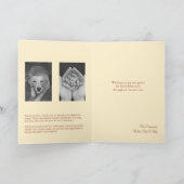 Red robin Joyeux Noël Christmas Moderne Foto Feestdagen Kaart (Binnen)