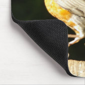 Red Robin Muismat (Hoek)