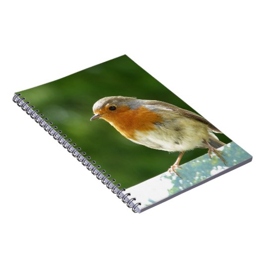 Red Robin Notitieboek (Rechterzijde)