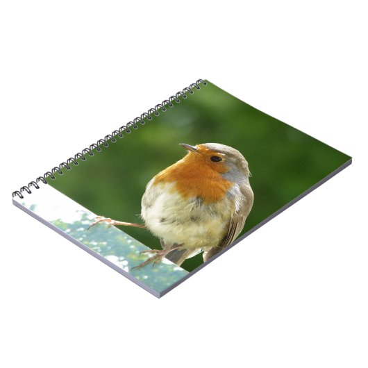 Red Robin Notitieboek (Linkerzijde)