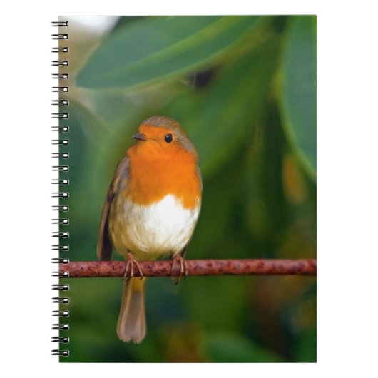 Red ROBIN Notitieboek (Voorkant)