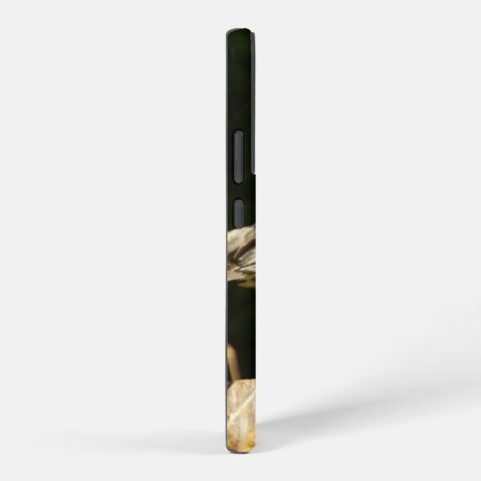 Red Robin Samsung Galaxy Hoesje (Rechterkant)