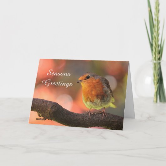 Red Robin Seasons Greeting Feestdagen Kaart (Voorkant)