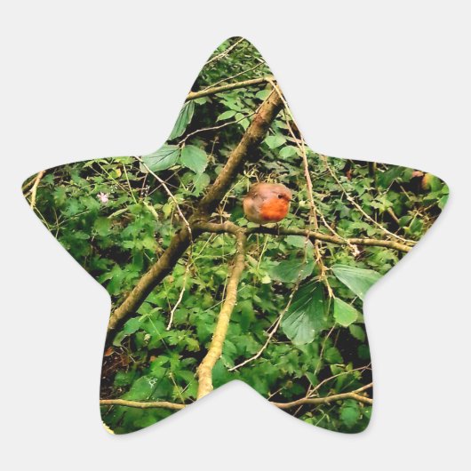 Red robin ster sticker (Voorkant)