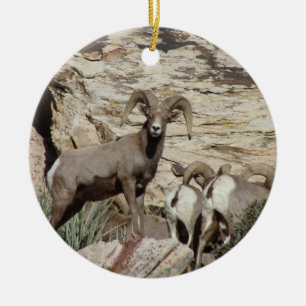 Red Rock Big Horn Sheep Keramisch Ornament