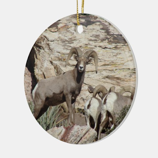 Red Rock Big Horn Sheep Keramisch Ornament (Links)