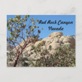 Red Rock Canyon Briefkaart (Voorkant)