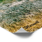 Red Rock Canyon Landscape Photo Art Print (Hoek)