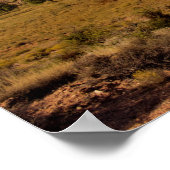 Red Rock Canyon Las Vegas Nevada Poster (Hoek)