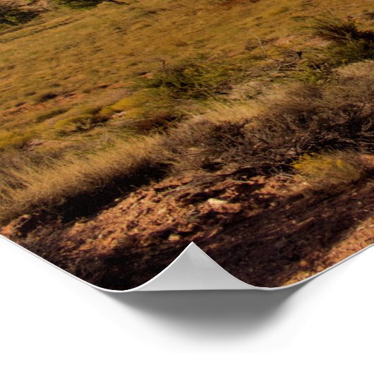 Red Rock Canyon Las Vegas Nevada Poster (Hoek)