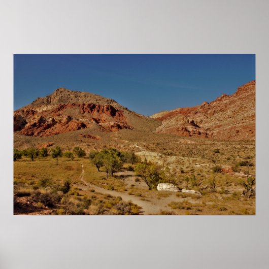 Red Rock Canyon Las Vegas Nevada Poster (Voorkant)