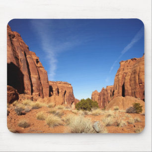 Red Rock Canyon Muismat