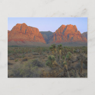 Red Rock Canyon National Conservation Area Briefkaart