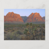 Red Rock Canyon National Conservation Area Briefkaart (Voorkant)