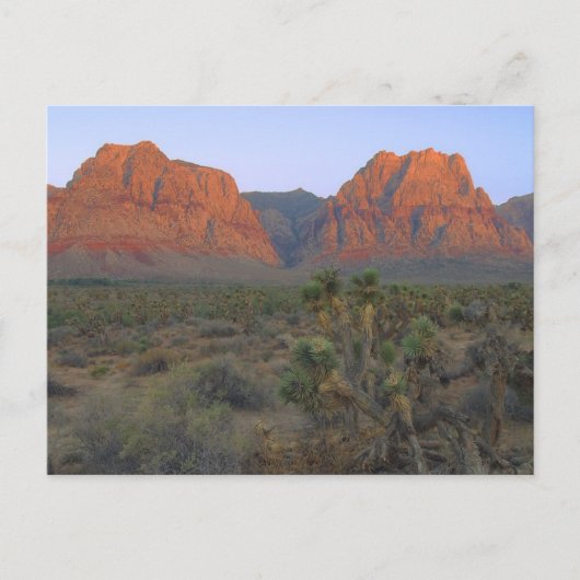 Red Rock Canyon National Conservation Area Briefkaart (Voorkant)