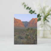 Red Rock Canyon National Conservation Area Briefkaart (Staand voorkant)