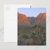 Red Rock Canyon National Conservation Area Briefkaart (Voorkant / Achterkant)