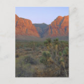 Red Rock Canyon National Conservation Area Briefkaart (Voorkant)