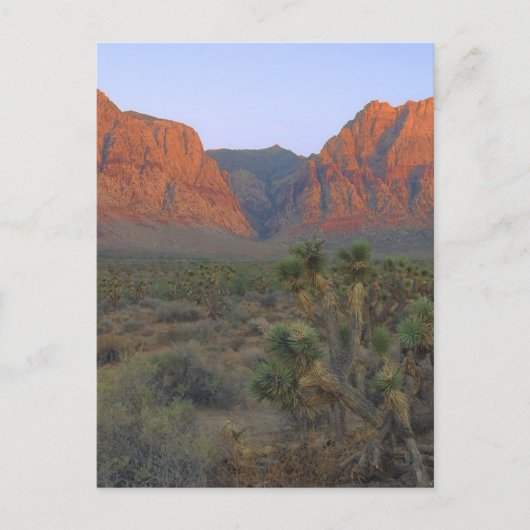 Red Rock Canyon National Conservation Area Briefkaart (Voorkant)