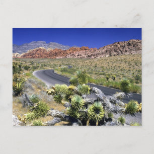 Red Rock Canyon National Conservation Area, Las Briefkaart