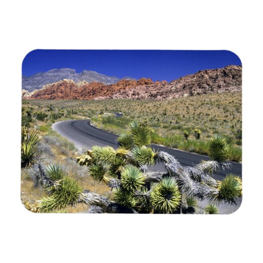 Red Rock Canyon National Conservation Area, Las Magneet (Horizontaal)