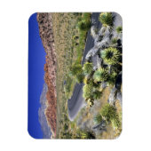 Red Rock Canyon National Conservation Area, Las Magneet (Verticaal)