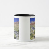 Red Rock Canyon National Conservation Area, Las Mok (Midden)