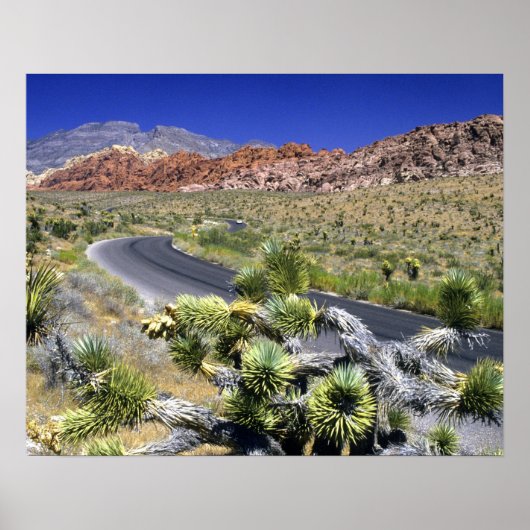Red Rock Canyon National Conservation Area, Las Poster (Voorkant)