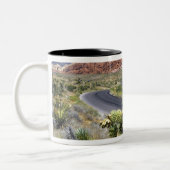 Red Rock Canyon National Conservation Area, Las Tweekleurige Koffiemok (Links)