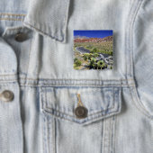 Red Rock Canyon National Conservation Area, Las Vierkante Button 5,1 Cm (In situ)