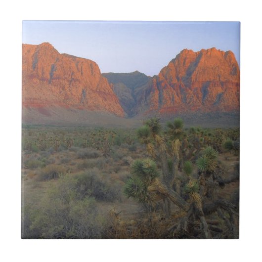 Red Rock Canyon National Conservation Area Tegeltje (Voorkant)