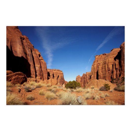 Red Rock Canyon Poster (Voorkant)