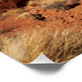 Red Rock Canyon Poster (Hoek)