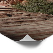 Red Rock Canyon Poster (Hoek)