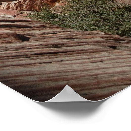 Red Rock Canyon Poster (Hoek)