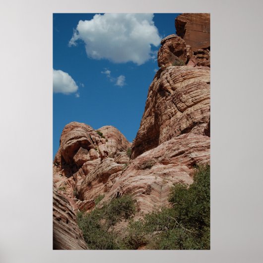 Red Rock Canyon Poster (Voorkant)