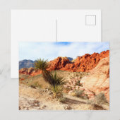 Red Rock Canyon Spring Mountains Nevada Briefkaart (Voorkant / Achterkant)