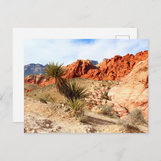 Red Rock Canyon Spring Mountains Nevada Briefkaart (Voorkant / Achterkant)