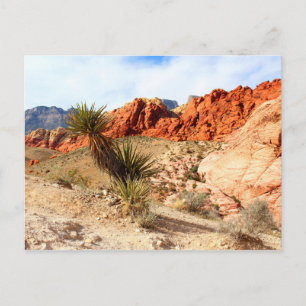Red Rock Canyon Spring Mountains Nevada Briefkaart