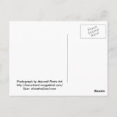 Red Rock Canyon State Park Briefkaart (Achterkant)