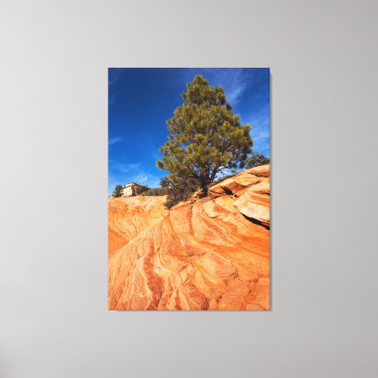 Red Rock Conifer Canvas Afdruk (Voorkant)