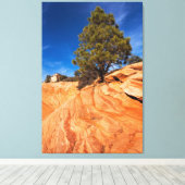 Red Rock Conifer Canvas Afdruk (Insitu (Houten vloer))