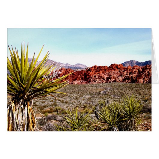Red Rock Conservation Area Las Vegas (Voorkant Horizontaal)