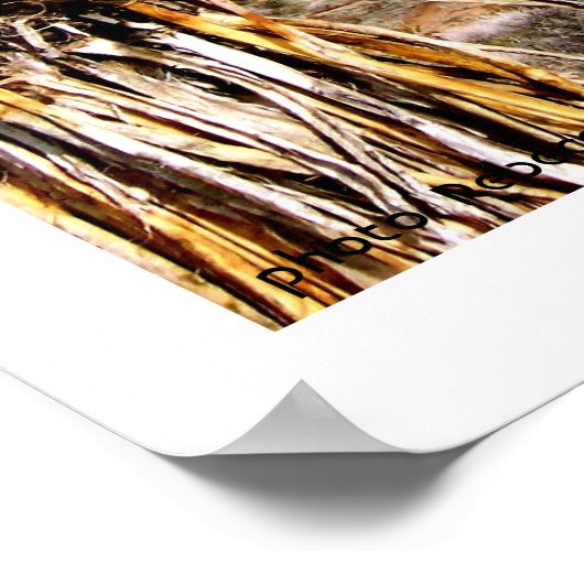 Red Rock Conservation Area, Las Vegas Poster (Hoek)