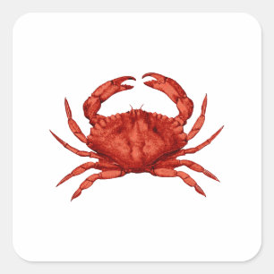 Red Rock Crab (Pacific) Vierkante Sticker