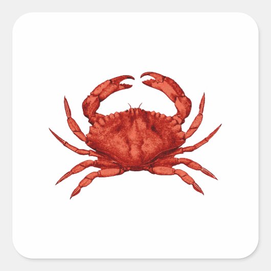 Red Rock Crab (Pacific) Vierkante Sticker (Voorkant)